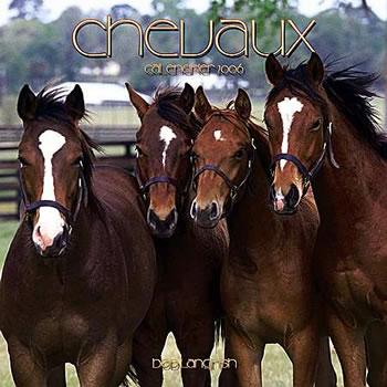 REGARDER SA OU LA SA MERITE UN BISOUS SE CHEVAL PAS VOUS