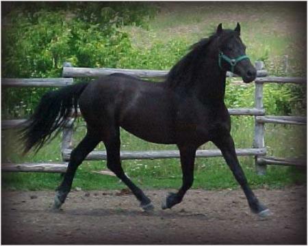 mon reve